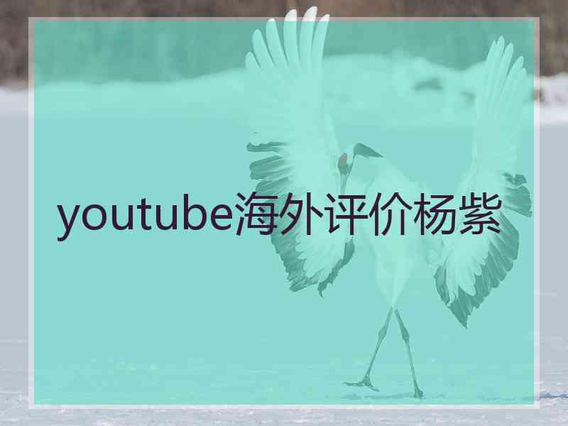 youtube海外评价杨紫