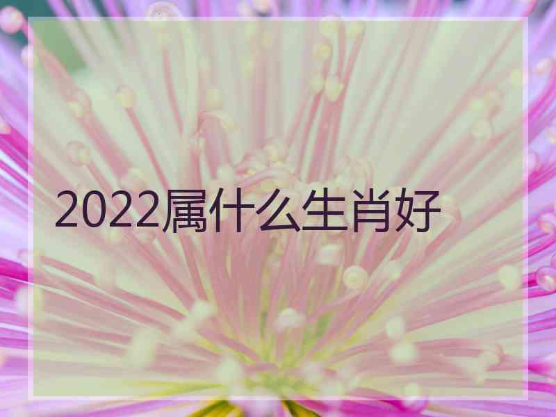 2022属什么生肖好