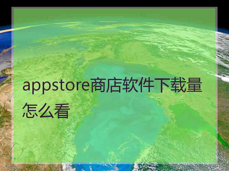 appstore商店软件下载量怎么看