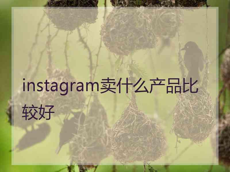 instagram卖什么产品比较好