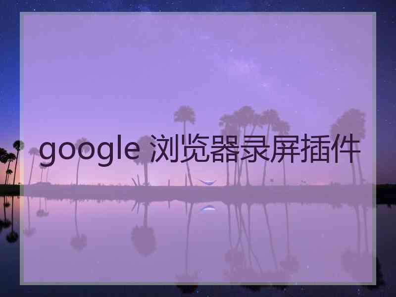 google 浏览器录屏插件