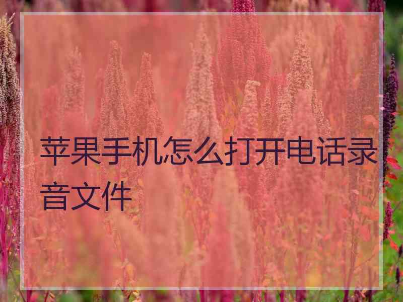 苹果手机怎么打开电话录音文件