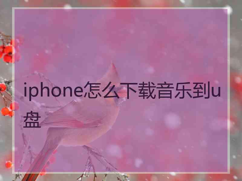 iphone怎么下载音乐到u盘