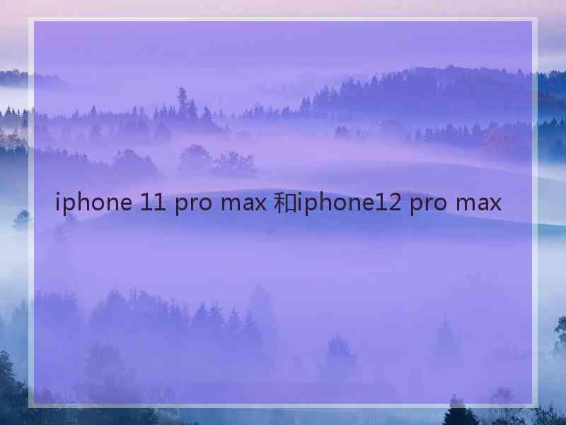 iphone 11 pro max 和iphone12 pro max