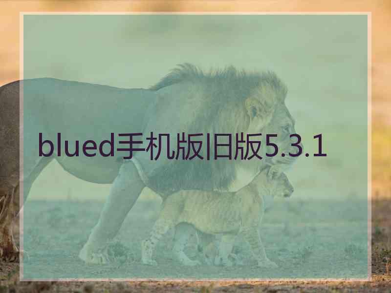 blued手机版旧版5.3.1