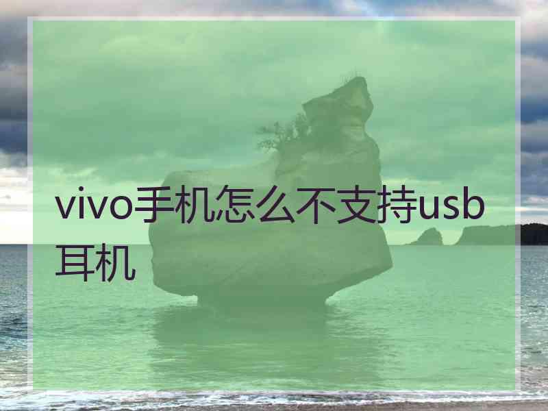 vivo手机怎么不支持usb耳机