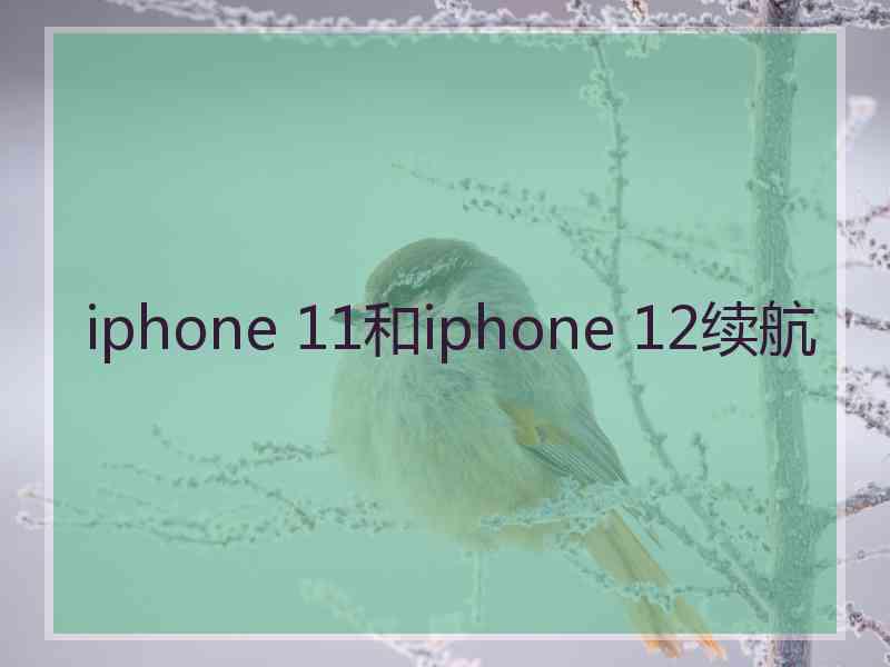 iphone 11和iphone 12续航