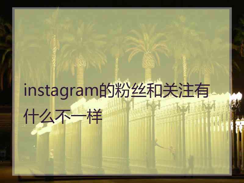 instagram的粉丝和关注有什么不一样