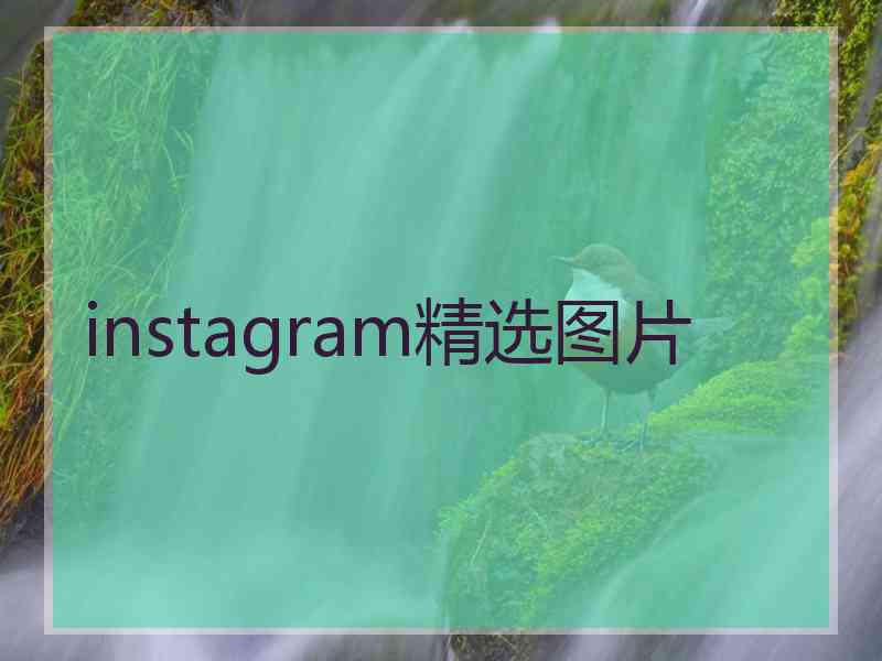 instagram精选图片