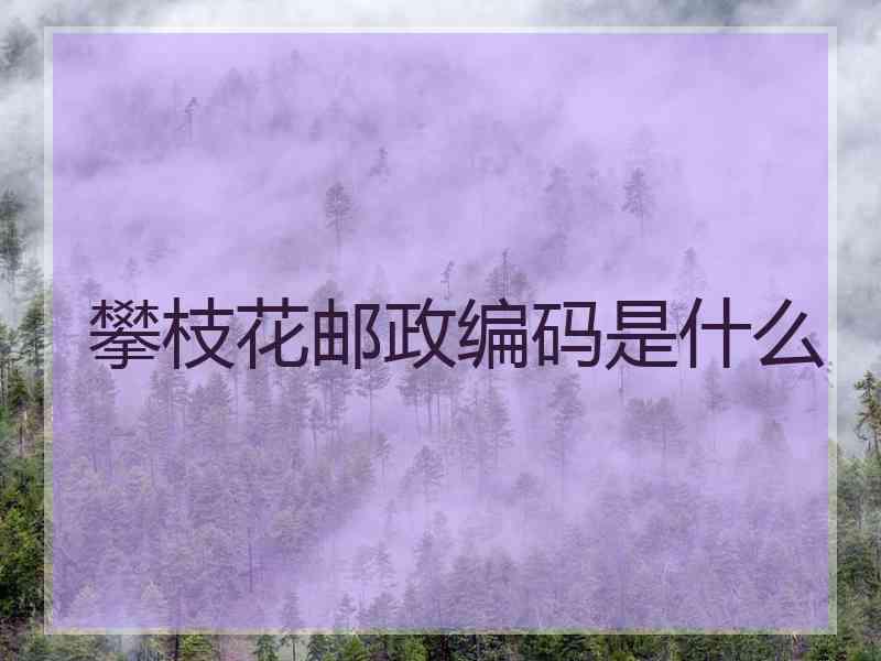 攀枝花邮政编码是什么