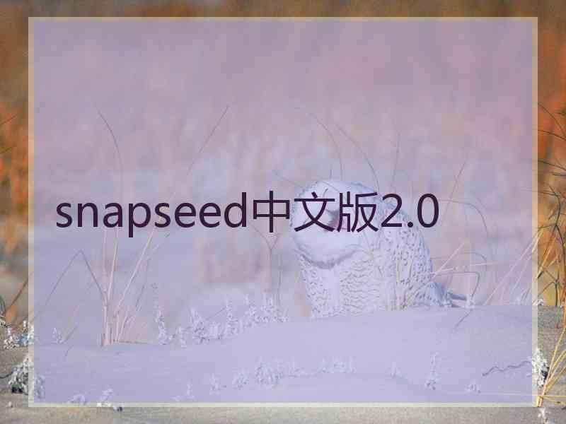 snapseed中文版2.0