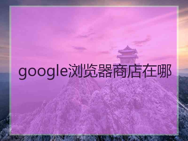 google浏览器商店在哪