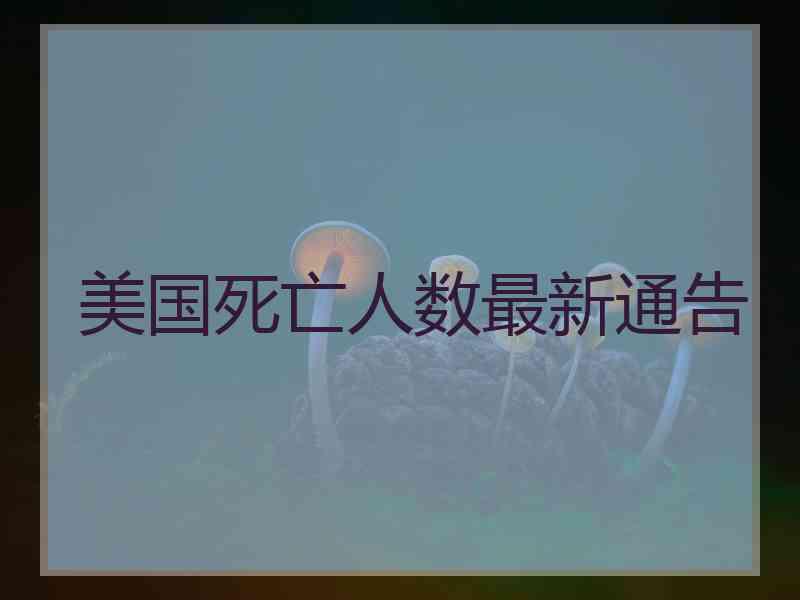 美国死亡人数最新通告