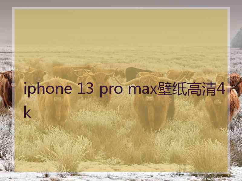 iphone 13 pro max壁纸高清4k