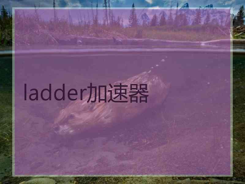 ladder加速器