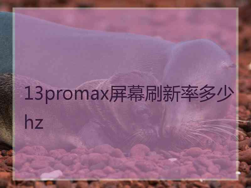 13promax屏幕刷新率多少hz