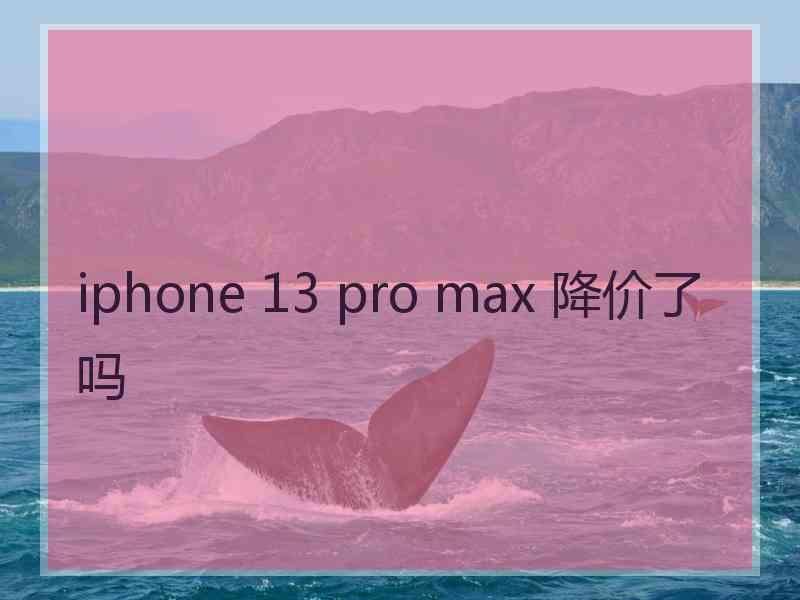 iphone 13 pro max 降价了吗