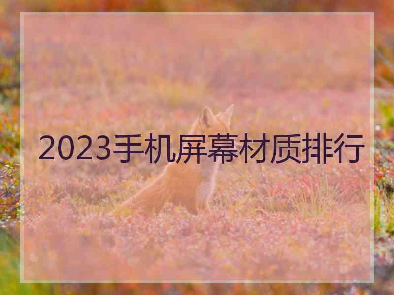 2023手机屏幕材质排行