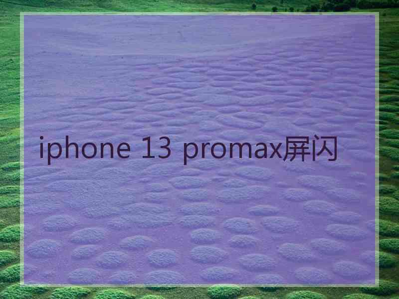 iphone 13 promax屏闪