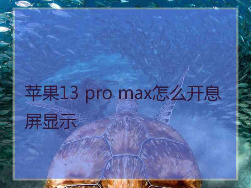 苹果13 pro max怎么开息屏显示