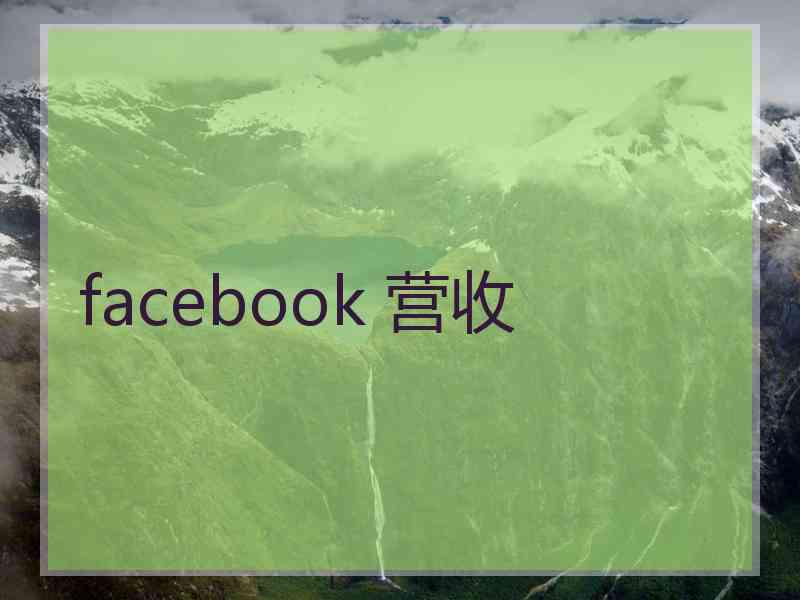 facebook 营收