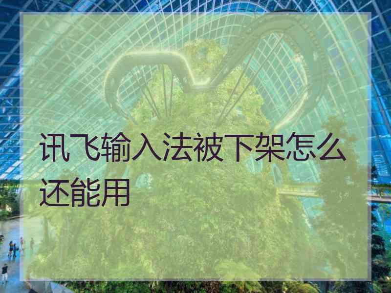 讯飞输入法被下架怎么还能用