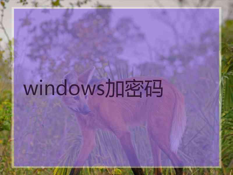 windows加密码