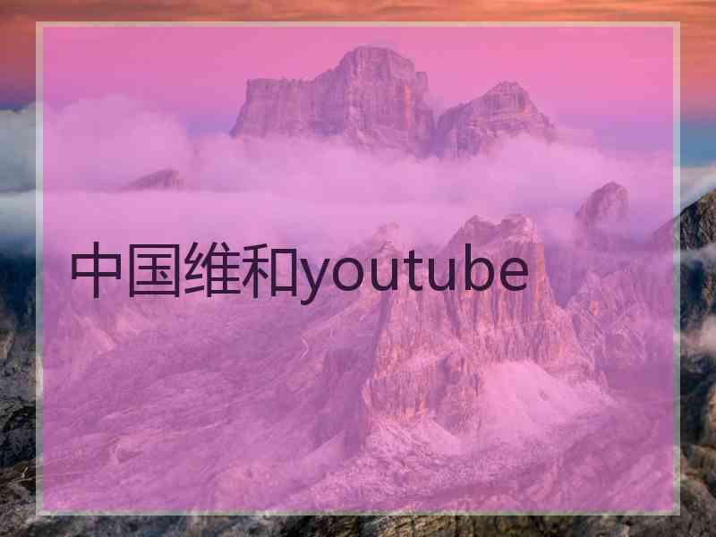 中国维和youtube