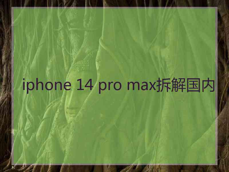 iphone 14 pro max拆解国内