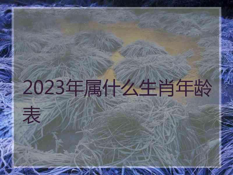 2023年属什么生肖年龄表