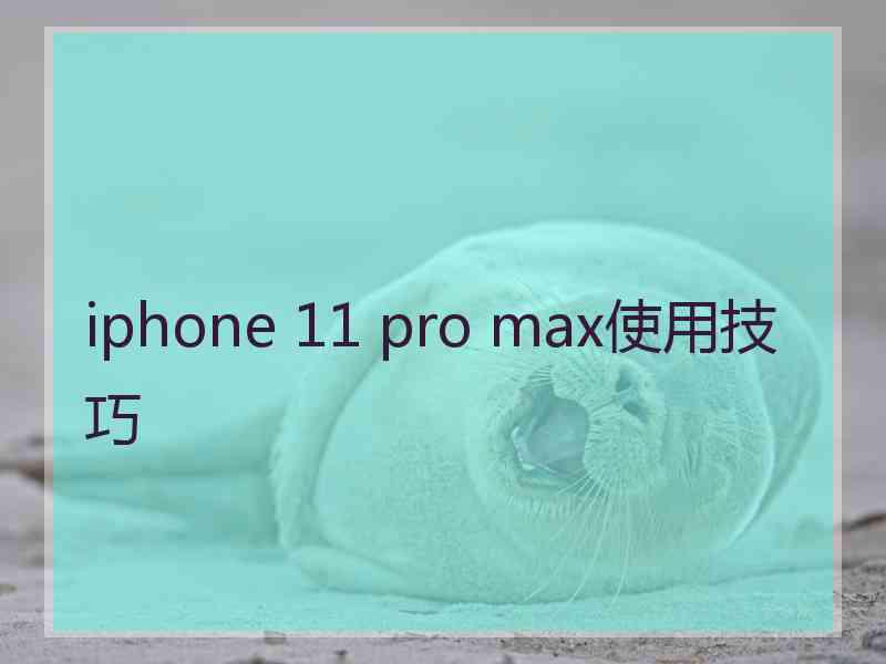 iphone 11 pro max使用技巧