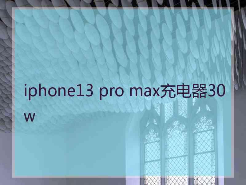 iphone13 pro max充电器30w