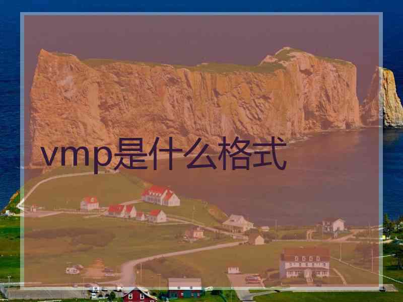 vmp是什么格式