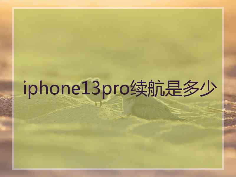 iphone13pro续航是多少