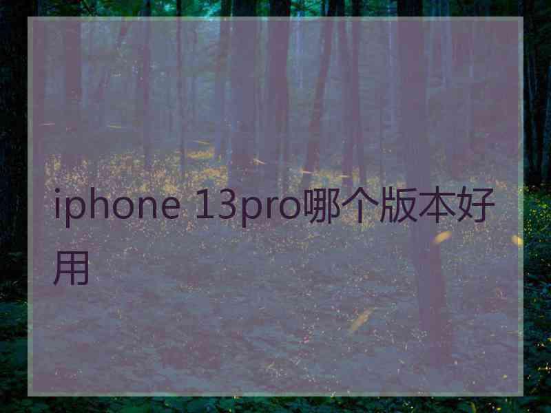 iphone 13pro哪个版本好用