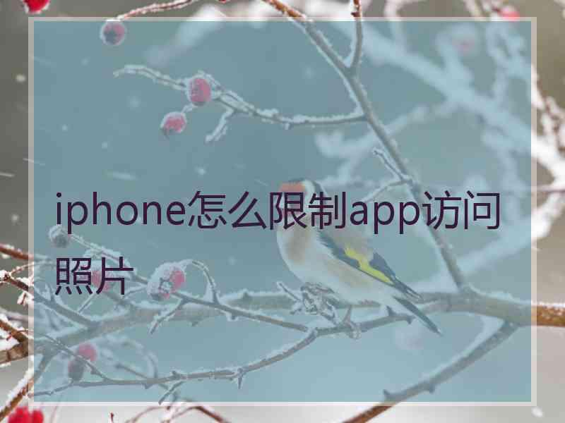 iphone怎么限制app访问照片