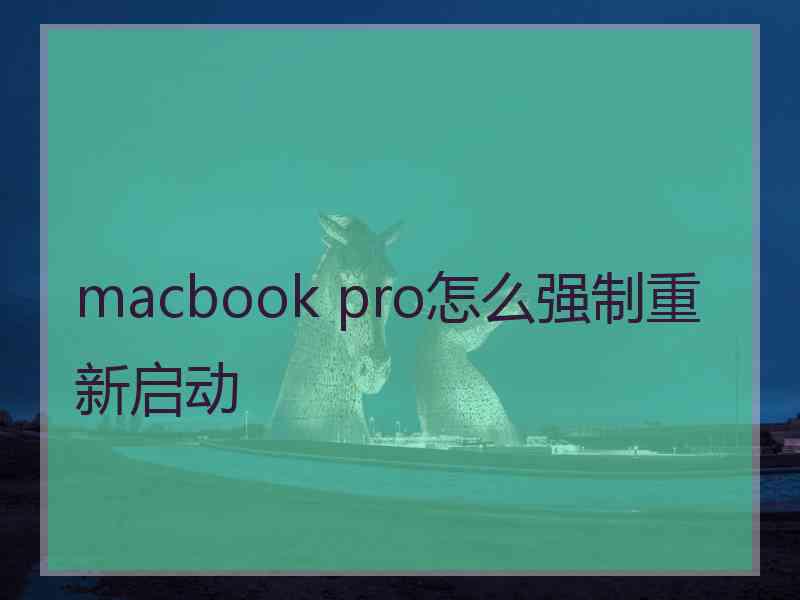 macbook pro怎么强制重新启动