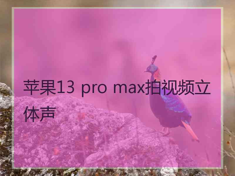 苹果13 pro max拍视频立体声