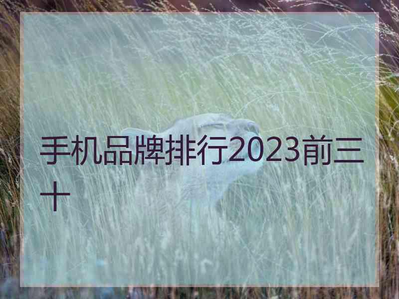 手机品牌排行2023前三十