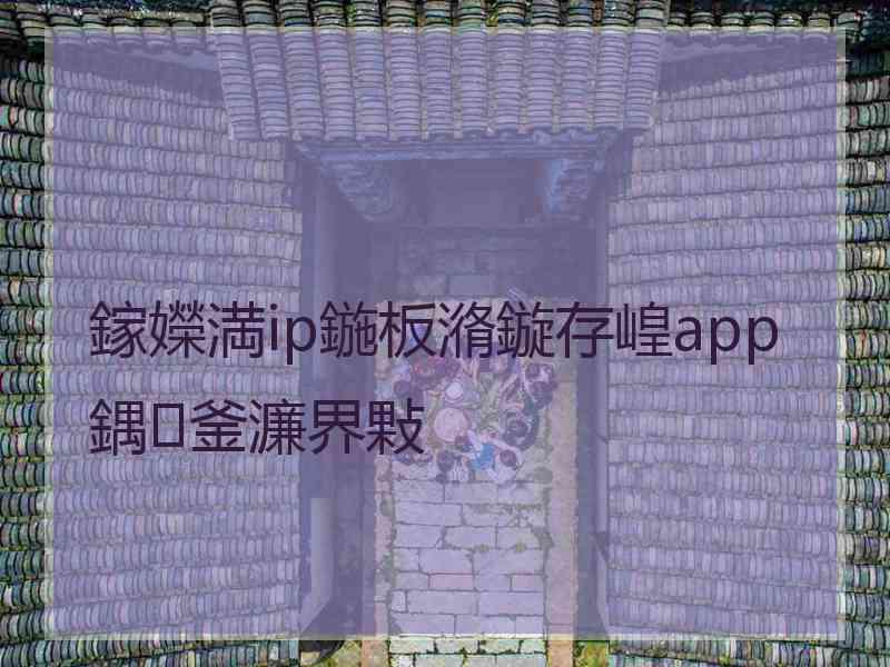 鎵嬫満ip鍦板潃鏇存崲app鍝釜濂界敤