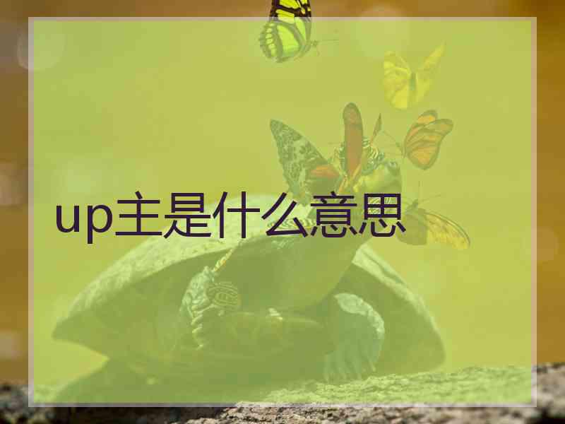 up主是什么意思