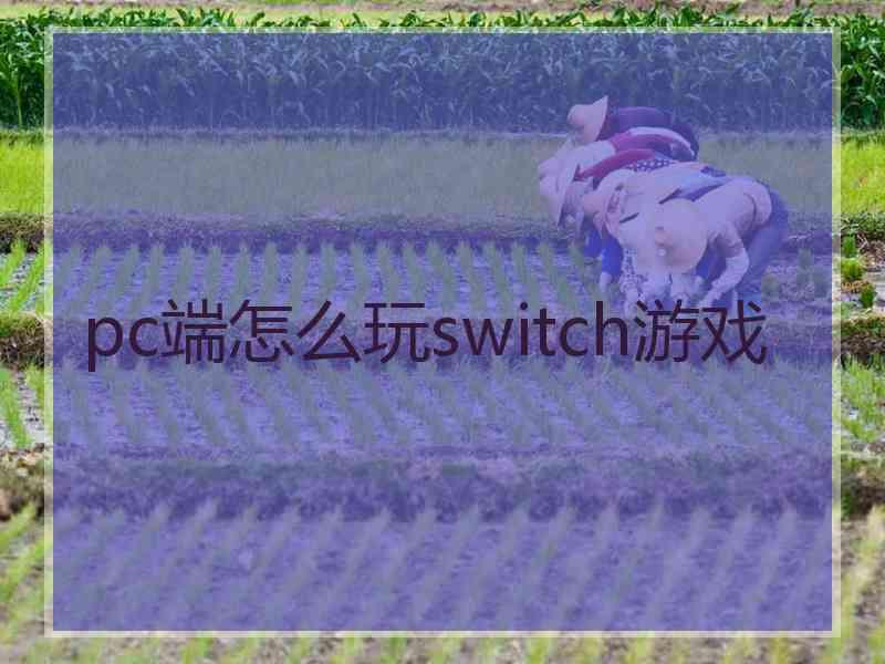 pc端怎么玩switch游戏