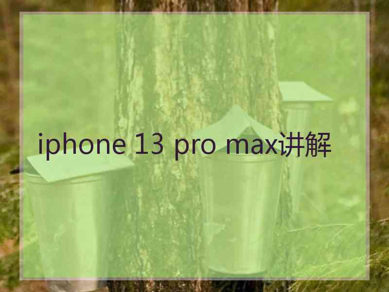 iphone 13 pro max讲解