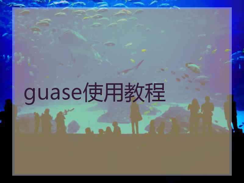 guase使用教程