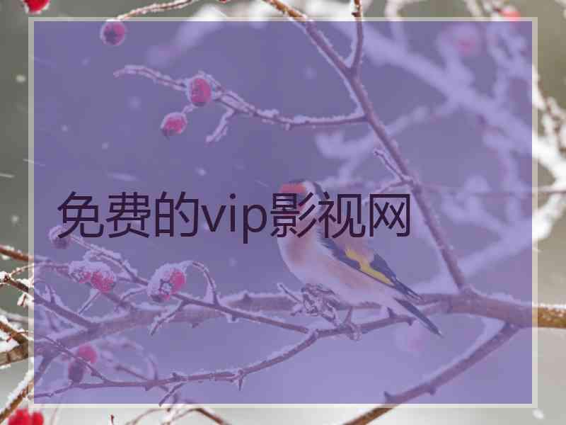 免费的vip影视网