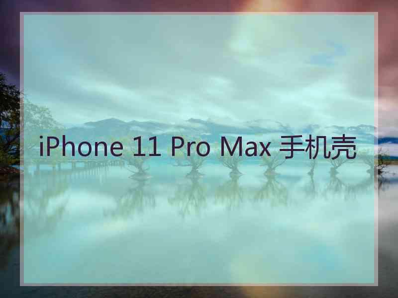 iPhone 11 Pro Max 手机壳