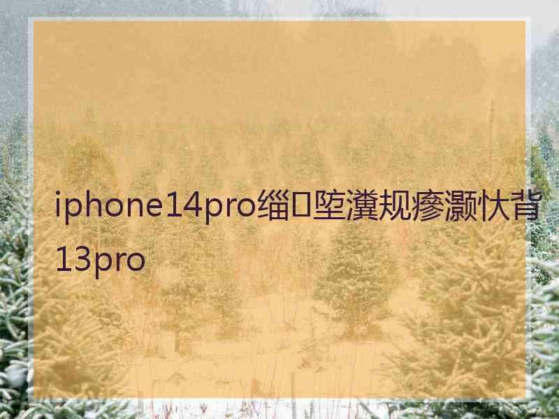 iphone14pro缁埅瀵规瘮灏忕背13pro