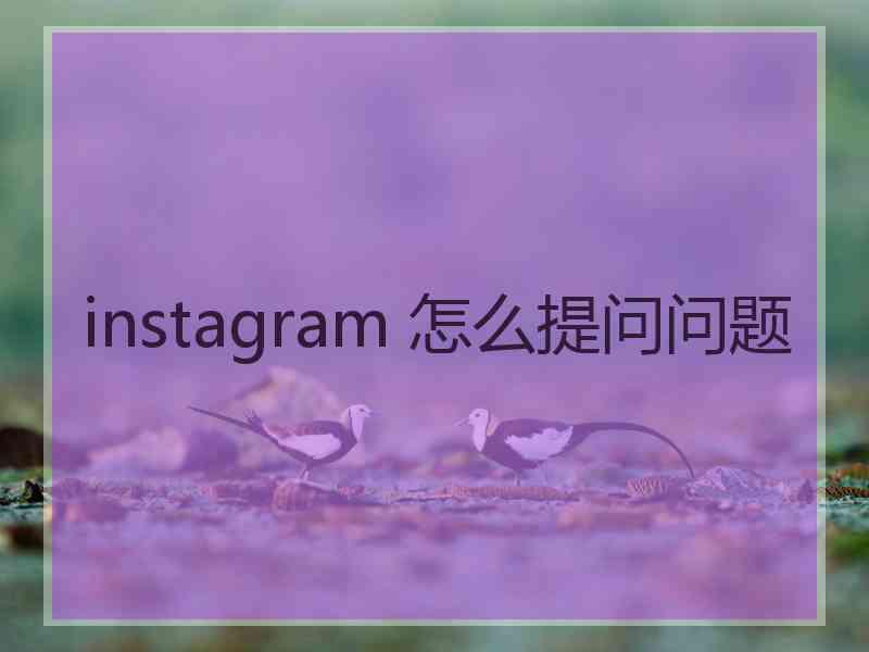 instagram 怎么提问问题