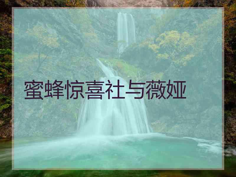 蜜蜂惊喜社与薇娅