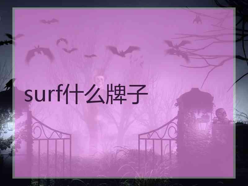 surf什么牌子